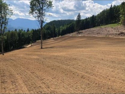 Bild 3:Fräs- und Rekultivierungsarbeiten