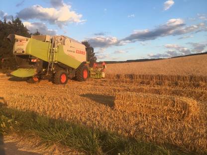 Bild 3:Lohndrusch Getreide + Mais