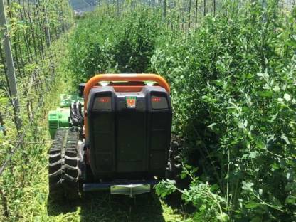 Bild 2:Mulcharbeiten / Wurzelstockfräsen