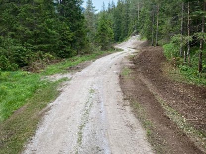 Bild 6:Forst- Alm- Wegsanierung,Rekultivierung,Böschungspflege
