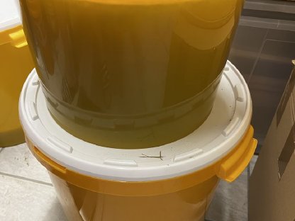 10 kg Honig aus Sommerernte