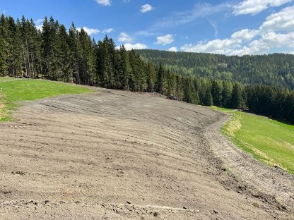 Bild 6:Fräs- und Rekultivierungsarbeiten