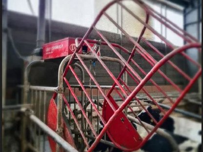 Lely Cosmix