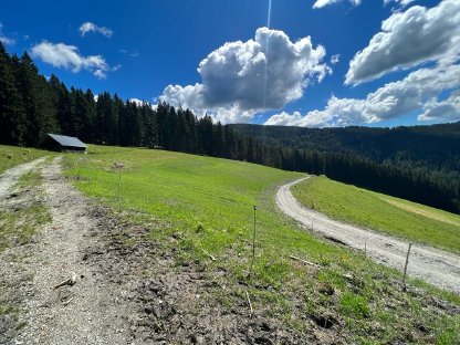 Bild 7:Fräs- und Rekultivierungsarbeiten