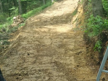 Forstarbeiten und Baggerarbeiten