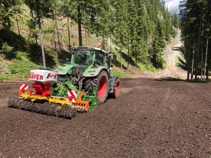 Bild 5:Fräs- und Rekultivierungsarbeiten