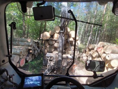 Bild 4:Holzschlägerung und Durchforstung