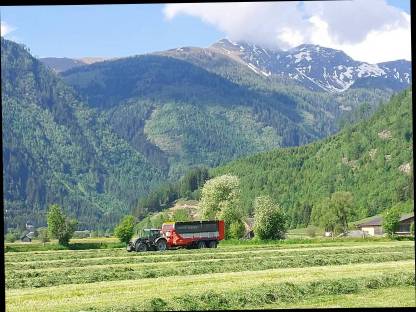 Bild 5:Grünland- / Silomaisernte und Gülleausbringung