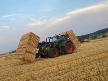 Stroh Quaderballen 2025