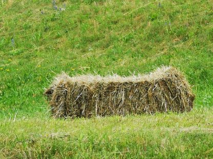 Bild 2:Heuballen klein, 1. Schnitt, Oberkärnten und Zillertal