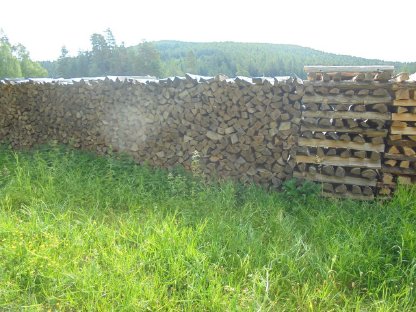 Brennholz