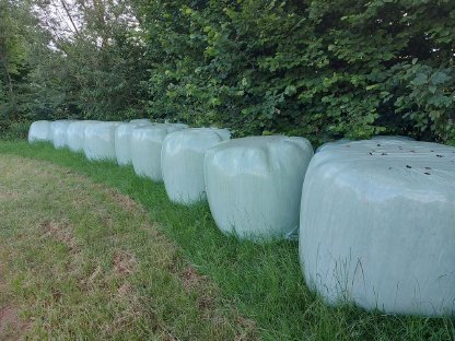 20 Silageballen