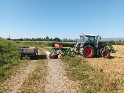 Bild 2:Grubbern, Stoppelsturz, Zwischenfrucht säen