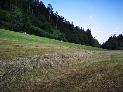 Bild 4:Heuballen klein, 1. Schnitt, Oberkärnten und Zillertal