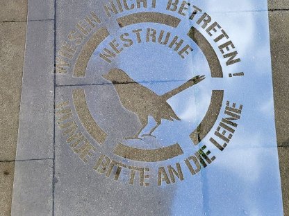 Bild 2:Zu vermieten: Schablone