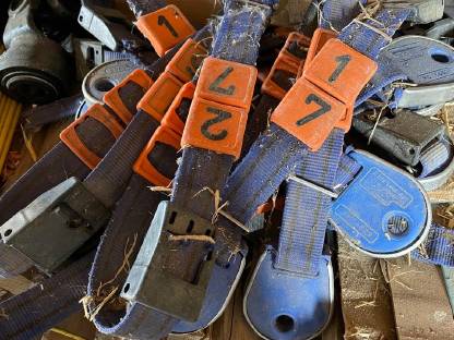 Bild 3:Tränkestand Förster