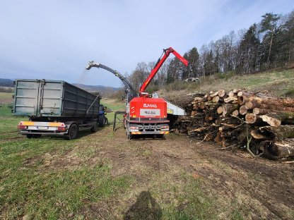 Bild 5:Durchforstungen von Totholz Bruchholz Käferholz usw