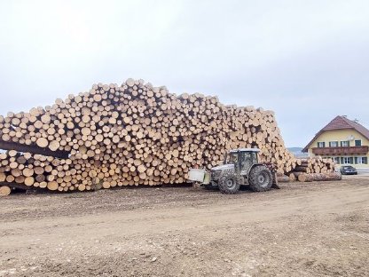 Bild 2:Holzschlägerung und Durchforstung