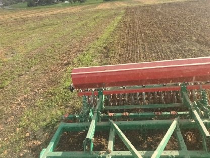 Bild 3:Grubbern, Stoppelsturz, Zwischenfrucht säen