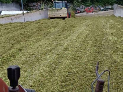 Bild 7:Grünland Ernte mit Agrarservice Meisinger