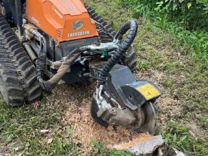 Bild 4:Forstmulchen, Forstfräsen, Stockfräsen, Steinfräsen