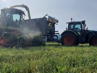 Bild 8:Grünlandernte