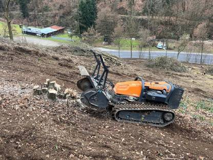 Bild 3:Forstmulchen, Forstfräsen, Stockfräsen, Steinfräsen