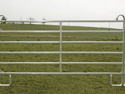 Bild 3:Weidetore, Panel