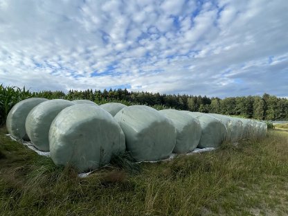 Silageballen