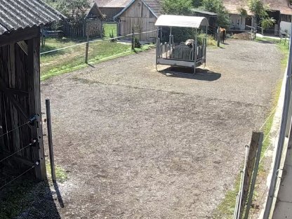 Bild 8:Vereinsmitglied mit Pferd bis Stockmaß 150cm gesucht