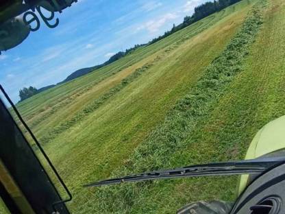 Bild 3:Grünland Ernte mit Agrarservice Meisinger