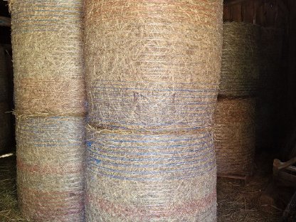 Bild 2:Bio-Heuballen