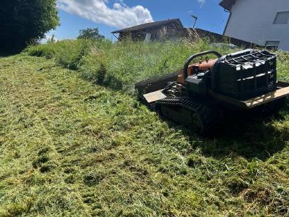 Bild 6:Forstmulchen, Forstfräsen, Stockfräsen, Steinfräsen