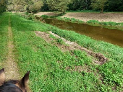 Bild 4:Vereinsmitglied mit Pferd bis Stockmaß 150cm gesucht