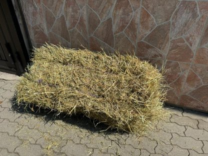 Bild 6:Heu | Magerheu | Futterheu