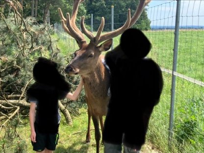 Bild 2:Rothirsch Rotwild