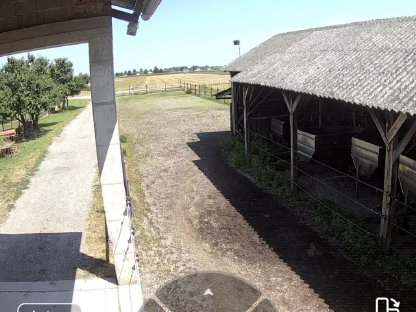 Bild 3:Vereinsmitglied mit Pferd bis Stockmaß 150cm gesucht