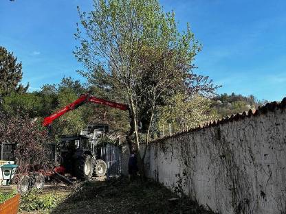 Bild 3:Holzschlägerung / -bringung und vieles mehr!
