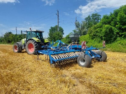 Bild 2:Zwischenfruchtanbau