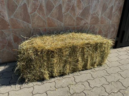 Bild 5:Heu | Magerheu | Futterheu