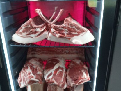 Bild 6:100% reinrassige Iberico