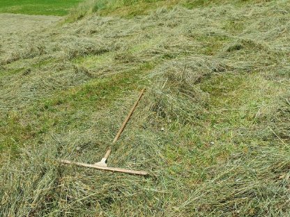 Heu in Kleinballen ab 100 Stk., 12 kg/Ballen