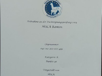 Bild 5:Alpakadeckhengst Weiß