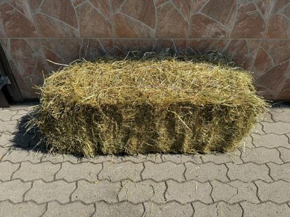 Bild 4:Heu | Magerheu | Futterheu