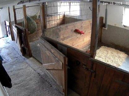 Bild 9:Vereinsmitglied mit Pferd bis Stockmaß 150cm gesucht