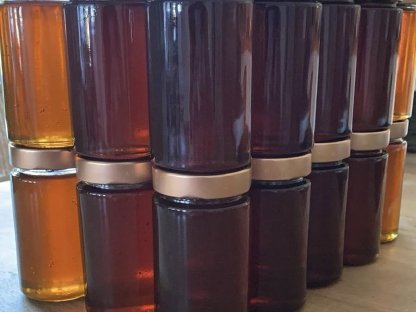 Bild 3:Blüten- und Waldhonig