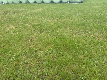 Bild 2:Silageballen