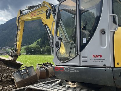 Kettenbagger Neuson 8003