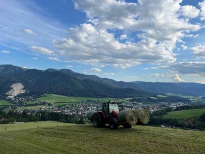 Heuballen