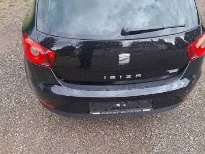 Bild 4:Seat Ibiza
